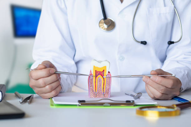 Best Urgent Dental Care for Toothaches in Bort, GA